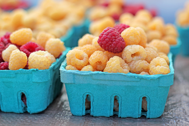 Get Your Green On: 30 Ways to Live Greener This&nbsp;Summer